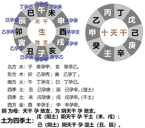 己年生人|十天干（甲、乙、丙、丁、戊、己、庚、辛、壬、癸）四化浅谈 –